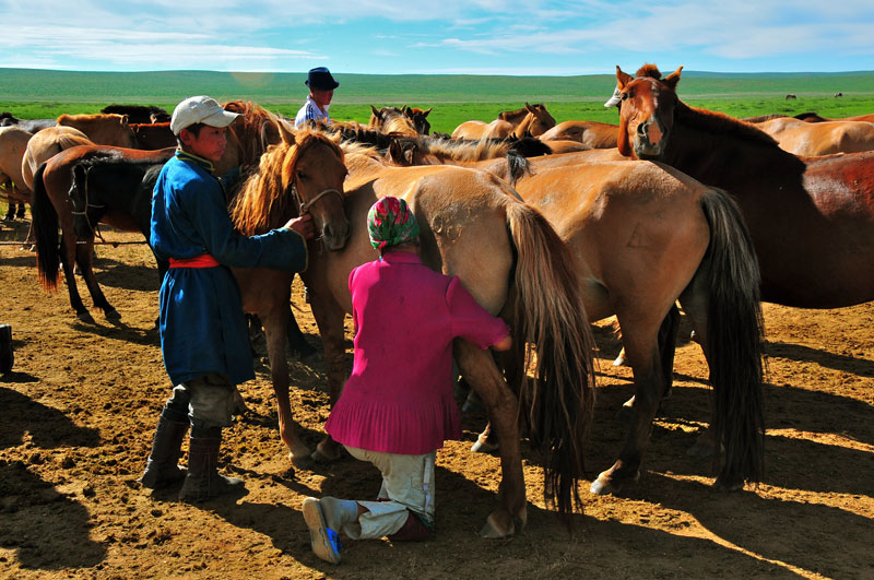 Mongolie